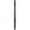 Ekena Millwork Robin Ceiling Medallion (Fits Canopies up to 6 1/4"), 22 1/4"OD x 4 3/4"ID x 1 1/4"P, Warm Silver CM22RBWSS - alternate 2